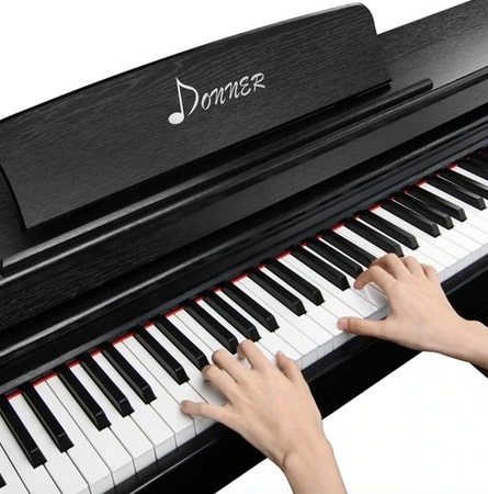 Donner DDP-100 Keyboard